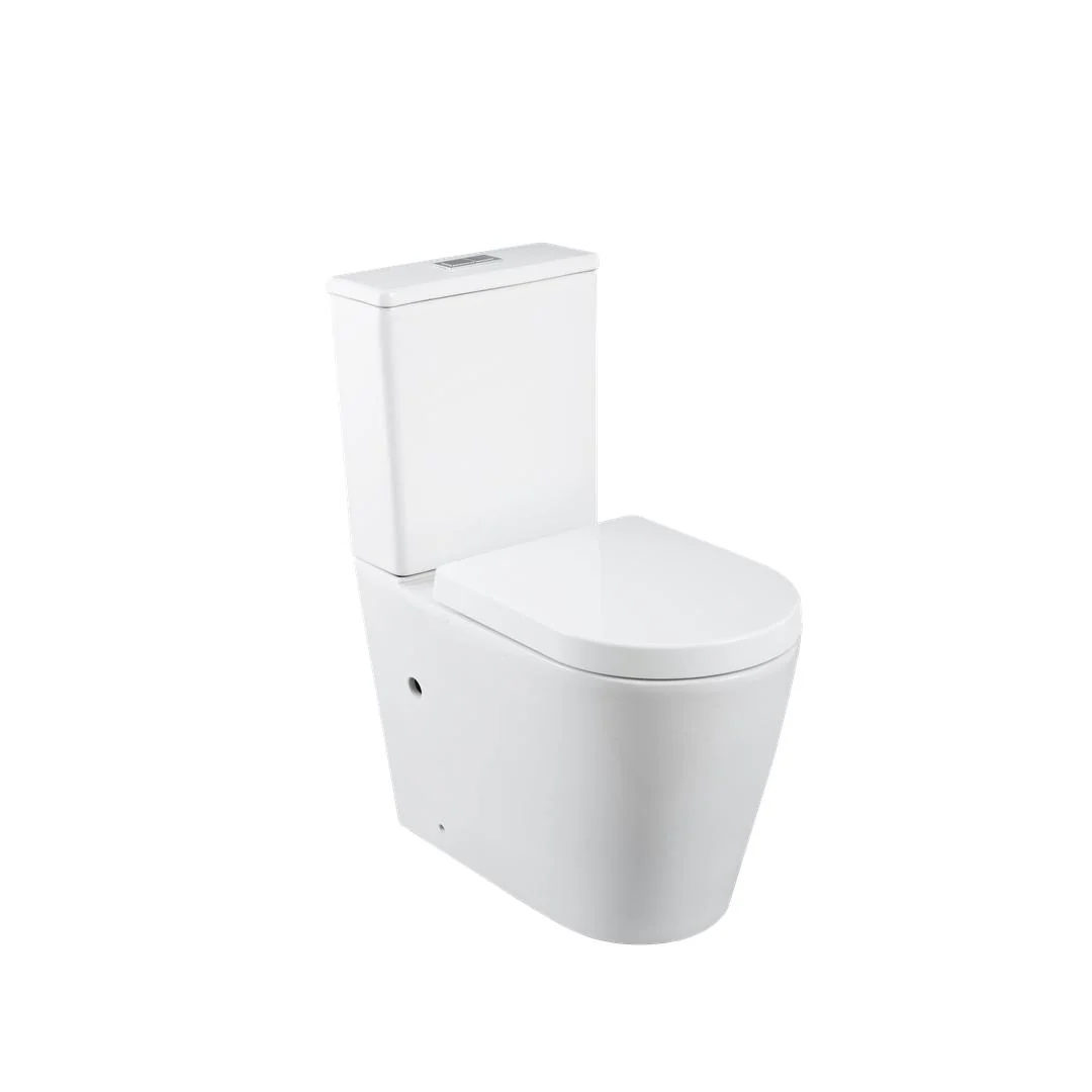 Linsol Florida Care Link Toilet with Backrest - Gloss White