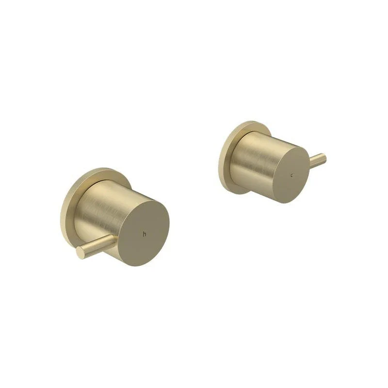 Parisi Envy II Top Assemblies Only - Brushed Brass