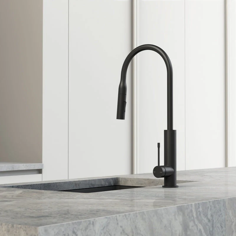 Phoenix Deja Pull Out Sink Mixer 220mm - Brushed Nickel - Image 3