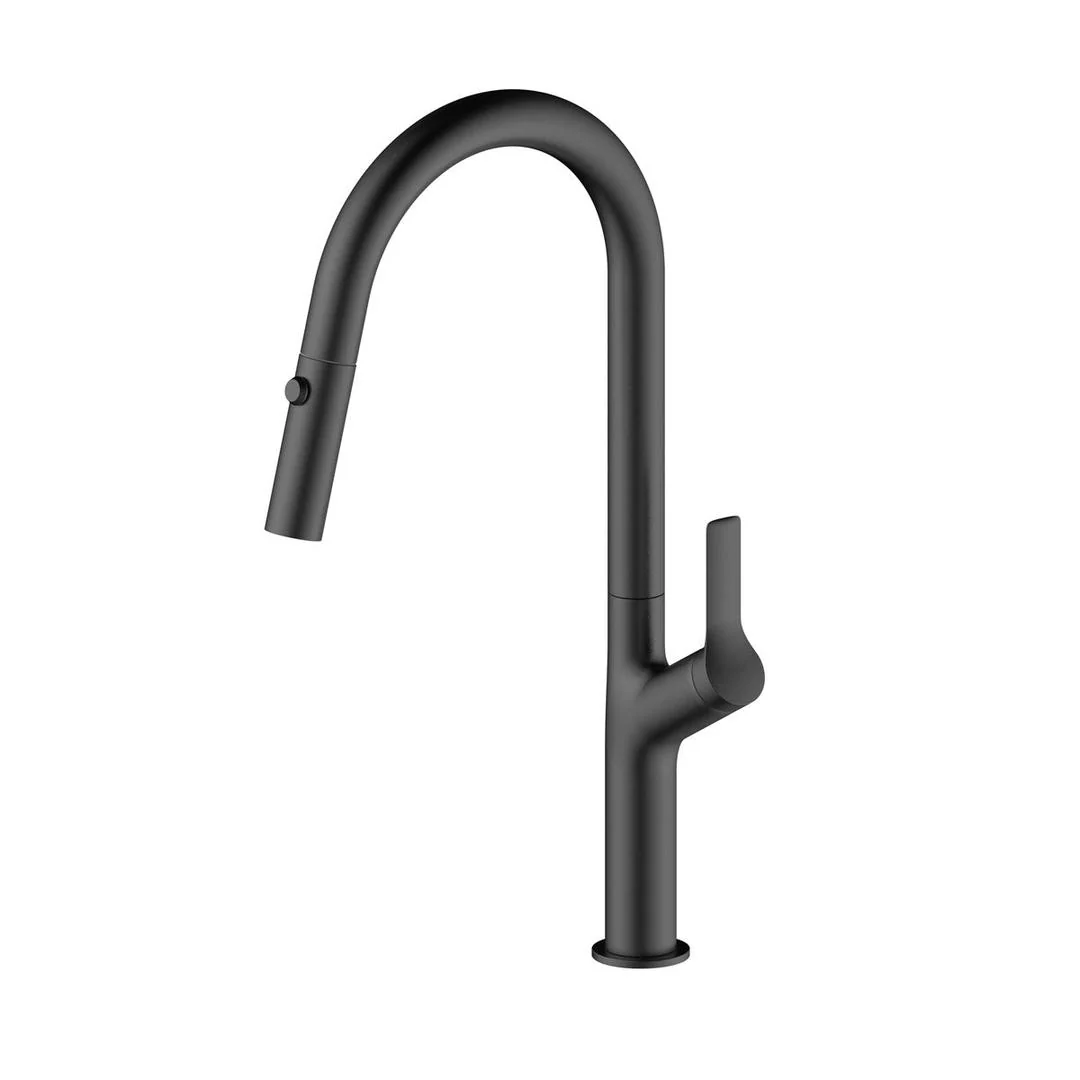 Linsol Tish S2 Pull Out Sink Mixer - Matte Black